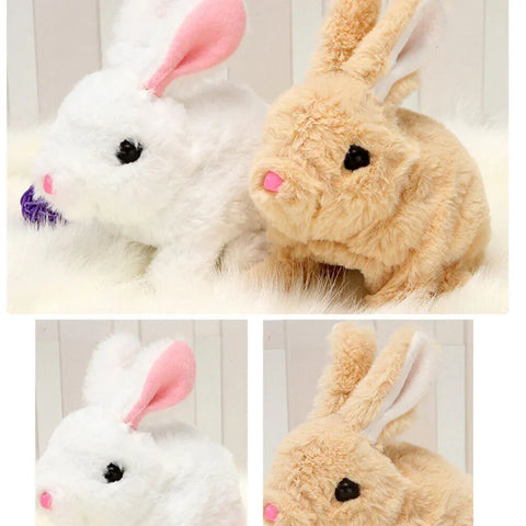 Plush Rabbit Toys